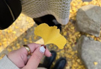 ［ななさブログ］autumn～noise  hair(ノイズヘア　大手町店)園山　七彩ブログ
