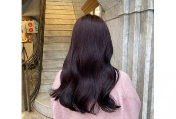【すみブログ】カシスラベンダー～Lien(リアン　中区立町)都間　すみれブログ