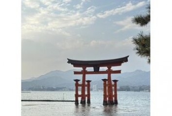 『ミサキ』素敵な日～noise  hair(ノイズヘア　大手町店)新村　美咲ブログ