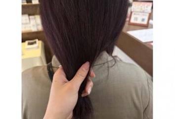 “momo”～cassis purple～voice  hair(ボイスヘア　東原店)藤尾　萌々ブログ