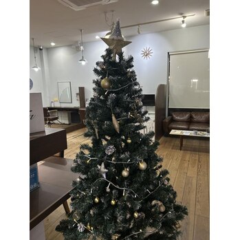 クリスマスツリー☆彡～voice  hair(ボイスヘア　東原店)酒井　しいなブログ　