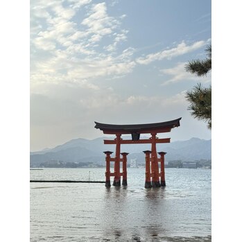 『ミサキ』素敵な日～noise  hair(ノイズヘア　大手町店)新村　美咲ブログ