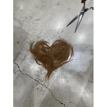 髪を切りました！～casita  hair(カシータヘア　長束店)桑重　美保ブログ